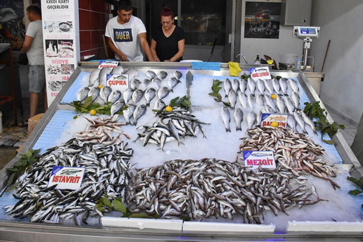 Ordu'da balıklar tezgahtaki yerini aldı