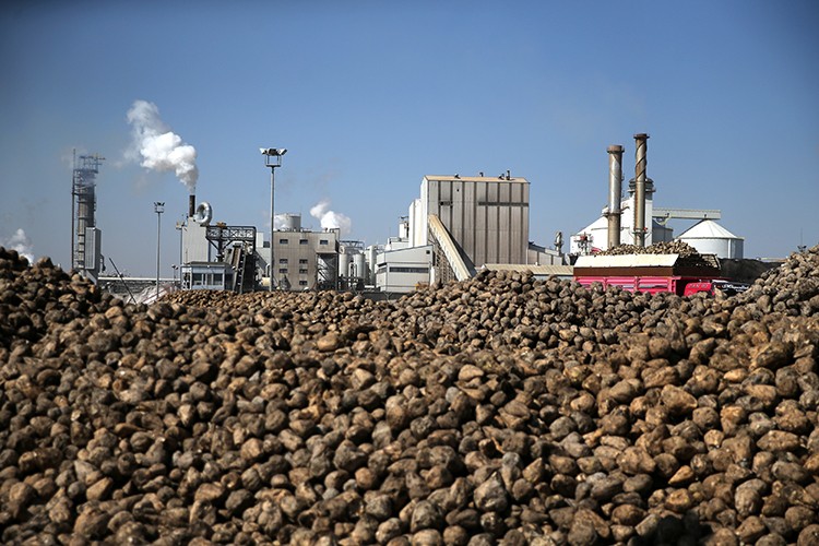 Konya'da ilaç sektörü için 10 bin ton kristal şeker üretiliyor