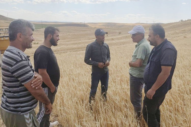 Yozgat'ta hasat denetimi