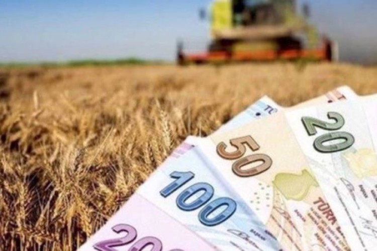 Tarımsal destek ödemeleri bugün yapılıyor