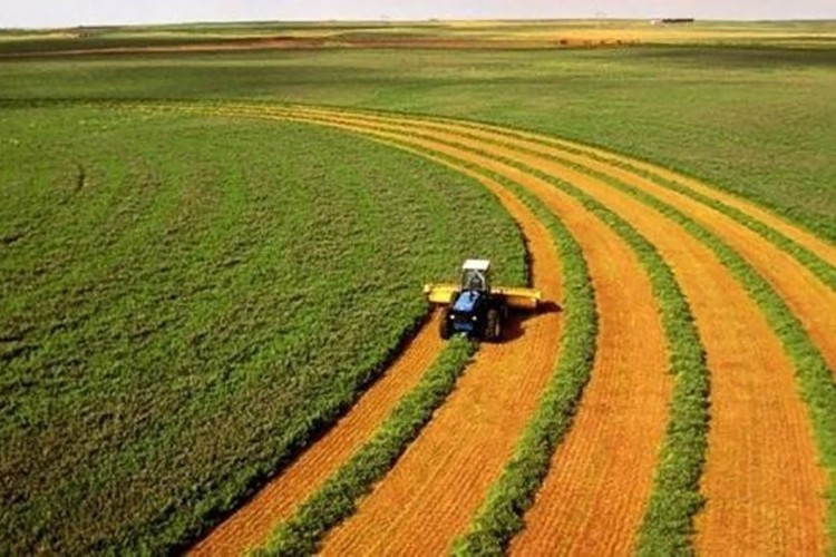 Bakanlık müjdeyi verdi