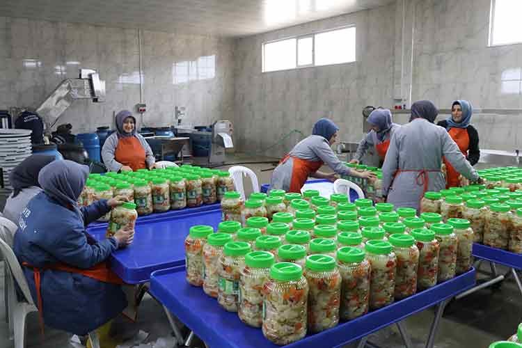 Hem işçiye hem çiftçiye kazandırıyor