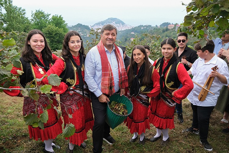 Fındık hasadı coşkusu Giresun'da başladı