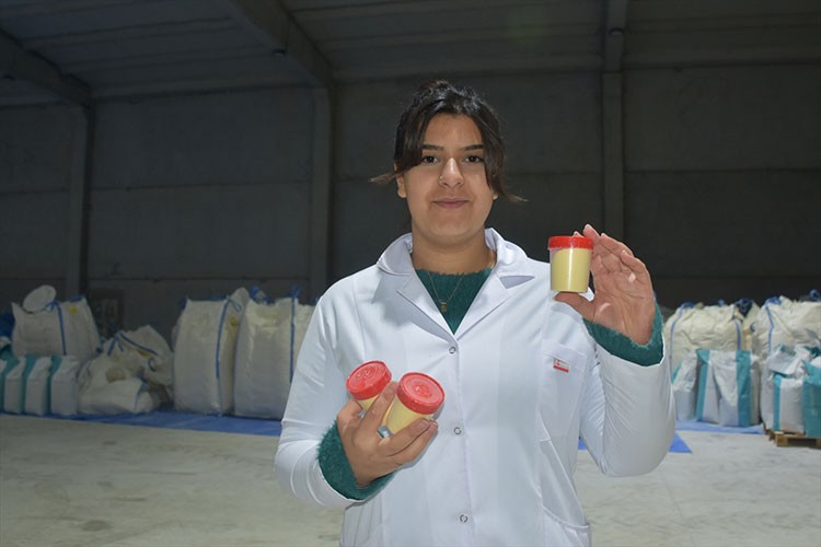 Yumurtalar akvaryum balıklarının yemine katkı maddesi oluyor