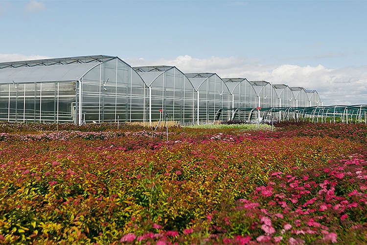 Tarım OSB'leri Türkiye'nin tarım sanayisini dönüştürüyor