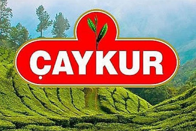 ÇAYKUR, yaş çay bedeli ödemelerine yarın başlayacak