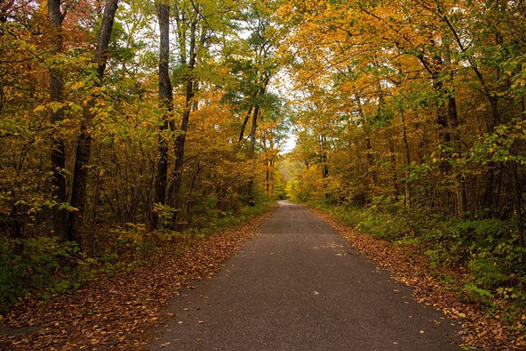 İstanbul'da ormanlara giriş yasaklandı