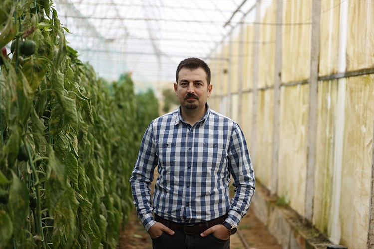 Antalya'da tarımda  yararlı böcek kullanılıyor