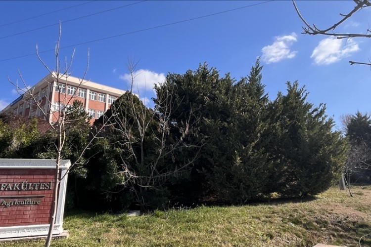 ÇOMÜ'den yeşil dönüşüm projeleri