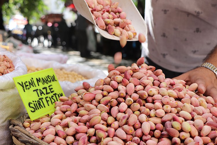 Siirt fıstığı, yaş olarak da büyük ilgi görüyor
