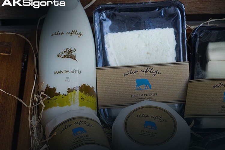 Aksigortalılara Sütiş Çiftliği'nden Yüzde 20 İndirim