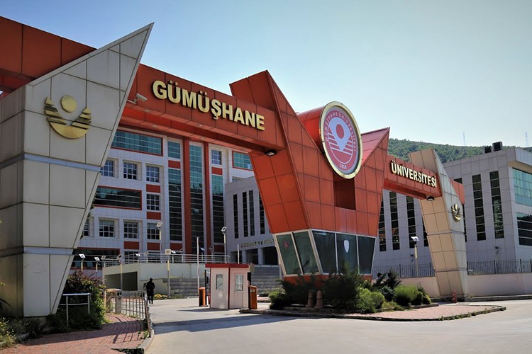 Akademisyen alınacak