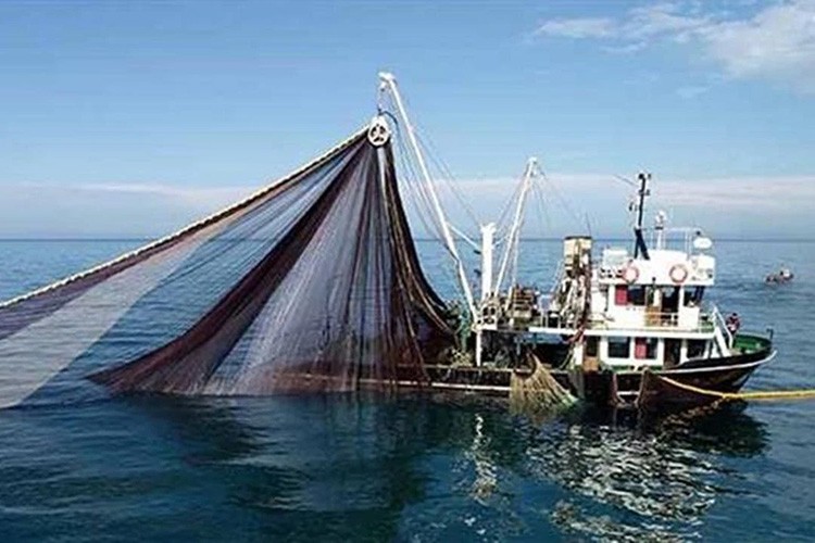 Küçük ölçekli balıkçılara sağlanacak destek belli oldu