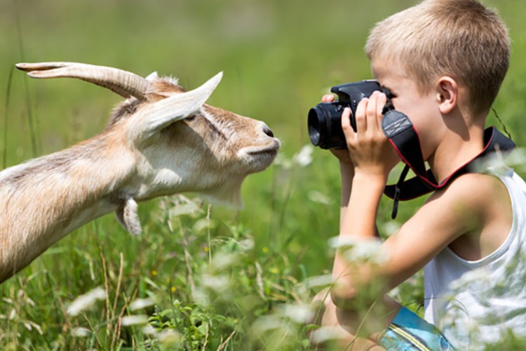 TARSİM Fotoğraf Yarışması'na başvurular başladı