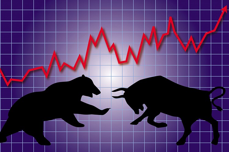 2019 Boğaların yılı oldu