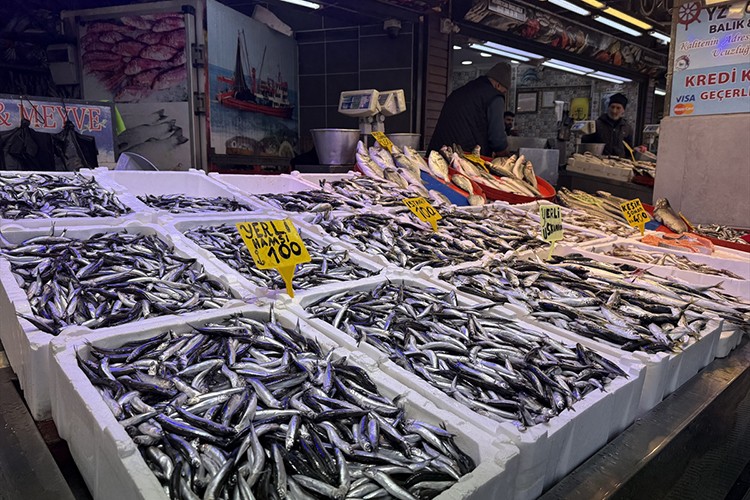 Trabzon'da hamsi ve istavrit 100 liradan satılıyor