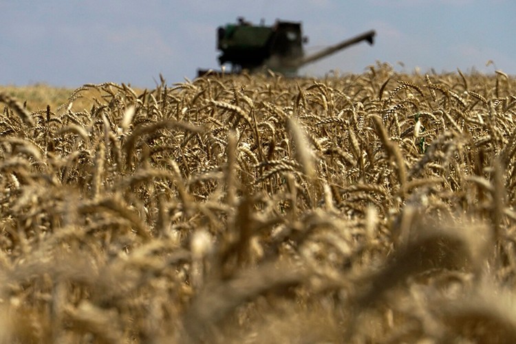 "Gıda krizini önlemede tahıl girişimin rolü kritik"