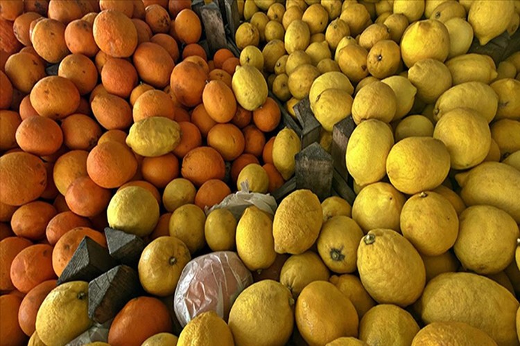 En fazla mandalinayı Irak'a, limonu Rusya'ya sattık
