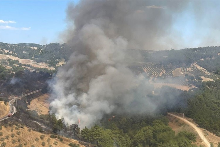 Manisa ve Uşak'taki orman yangınları kontrol altına alındı