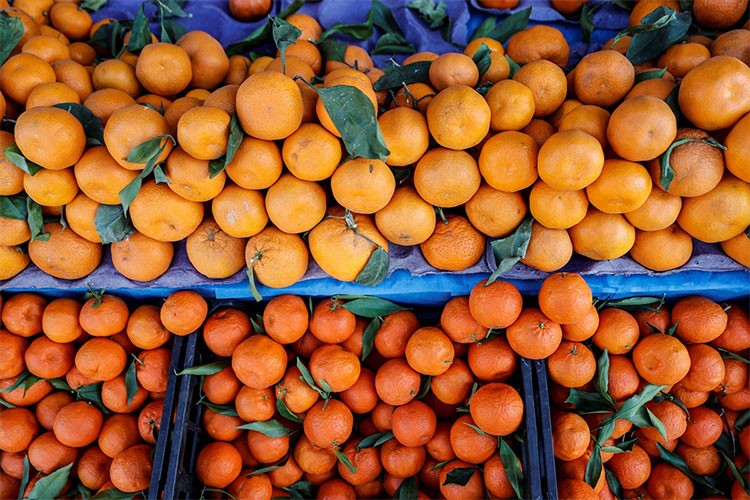 Türkiye'nin narenciye ihracatını Doğu Akdeniz illeri sırtladı