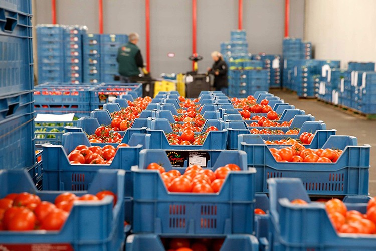 Rusya'ya meyve ve sebze ihracatı yüzde 60 arttı