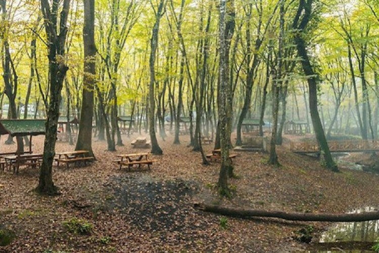 Mesire alanı kiralanıyor