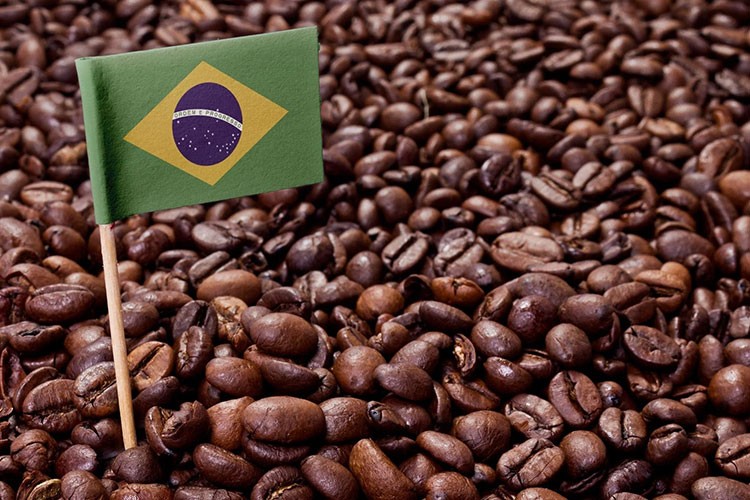 ABD'nin Brezilya'ya uyguladığı tarifelerinin kahveye etkisi sınırlı