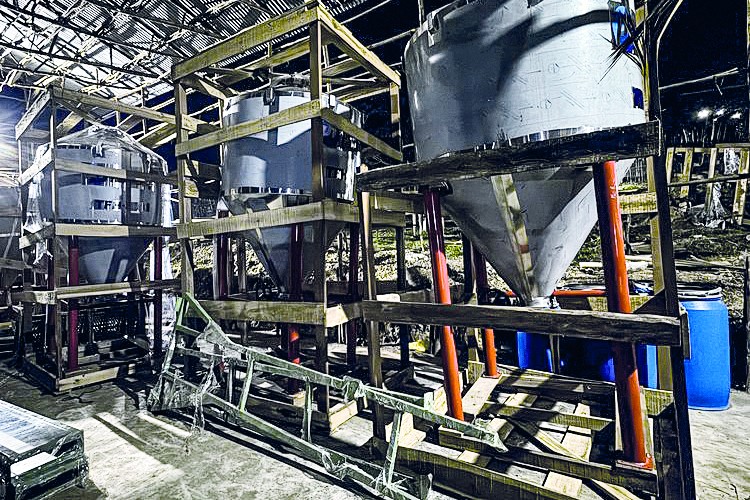 Türk iş insanları Etiyopya'da kahve üretiyor