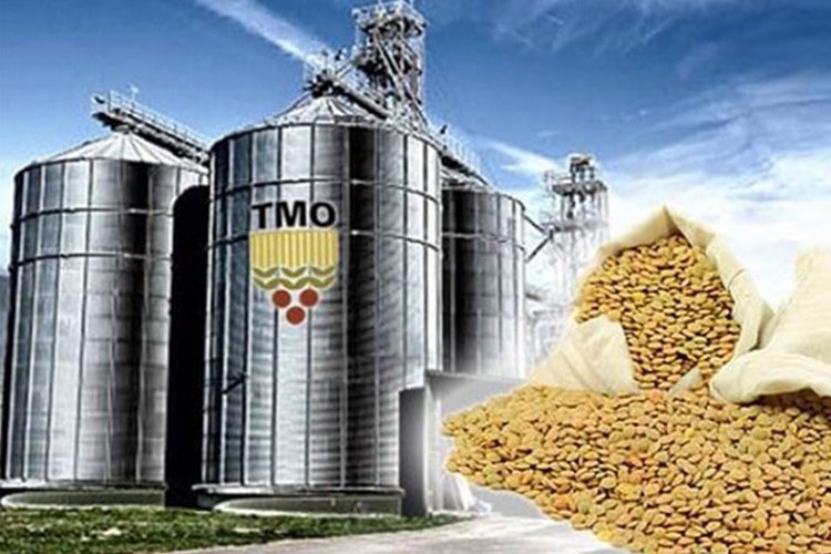 Deprem bölgesinde tahılın TMO tarafından tarladan alınması talebi