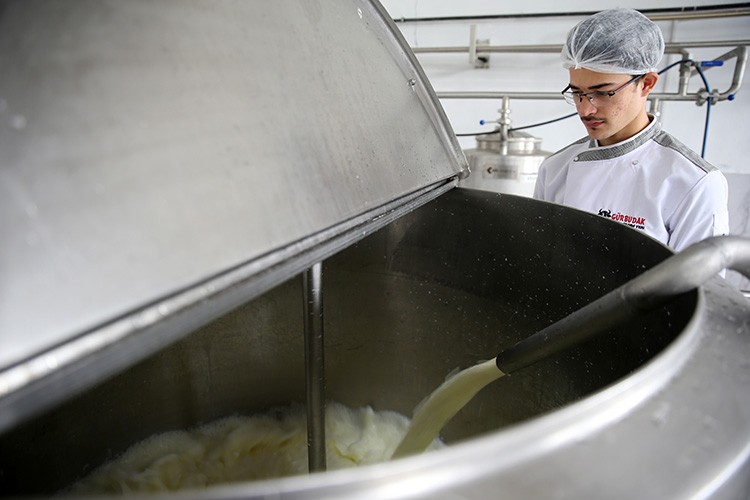 Bitlis'te üretilen manda sütü devlet desteğiyle kurulan tesiste ürüne dönüştürülüyor