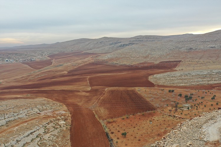 GAP kapsamında taşlık araziler üretime dönüşüyor