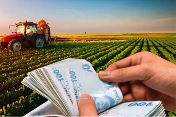 Tarım ürünleri üretici fiyatları aylık yüzde 2,31 arttı