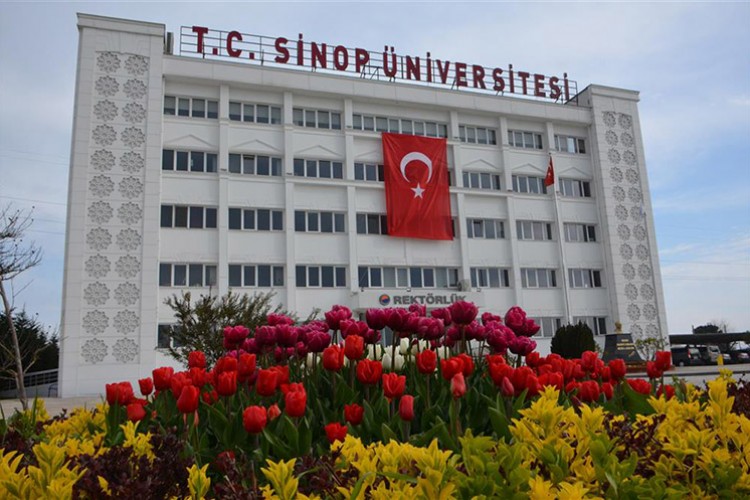 Akademisyen alınacak