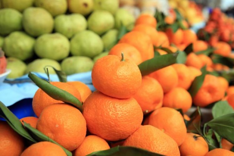 Türkiye'nin narenciye ihracatı 1 milyar doları aştı