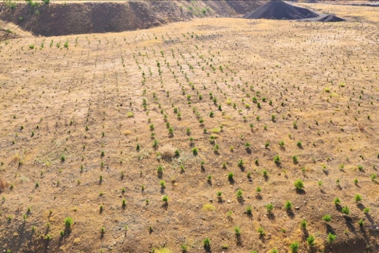 Madencilik sonrası iyileştirme faaliyetlerinde bütüncül yaklaşımlar öne çıkıyor