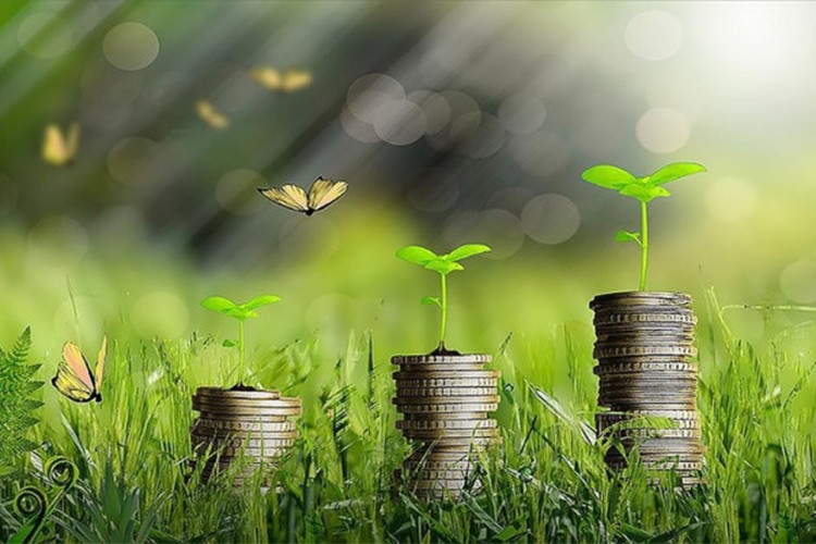 Borsa İstanbul ve IFC "Yeşil Tahvil Eğitimi" düzenliyor