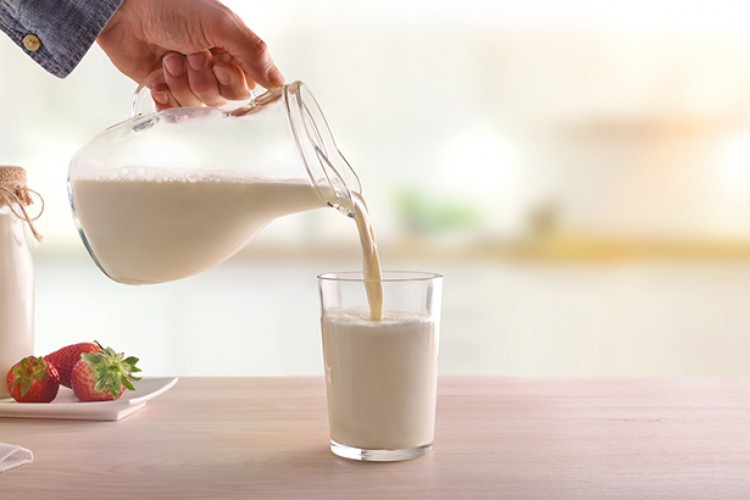 Toplanan inek sütü miktarı eylülde yıllık bazda yüzde 4,6 arttı