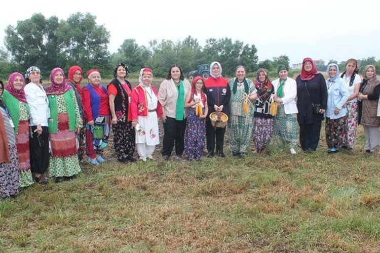 Kadın üreticiler yerli mısır tohumlarını toprakla buluşturdu