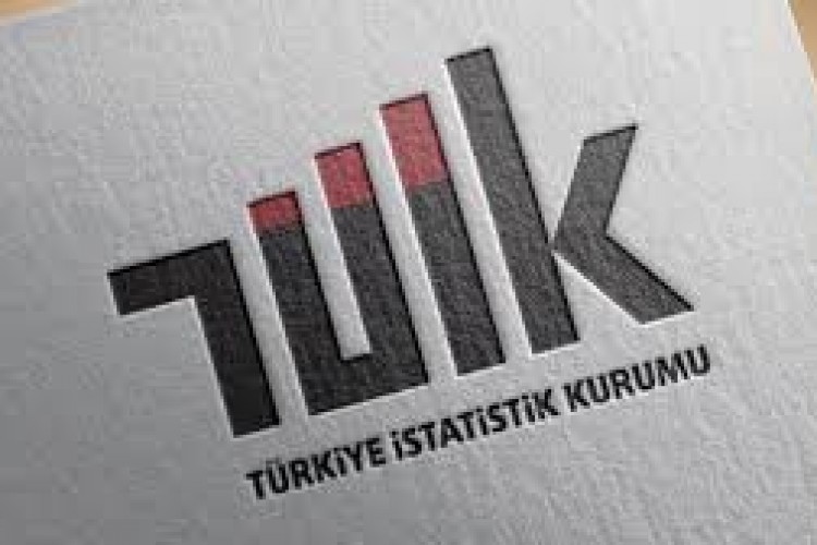 TÜİK "Yapay Zeka İstatistikleri, 2025" bültenini yarın yayımlayacak