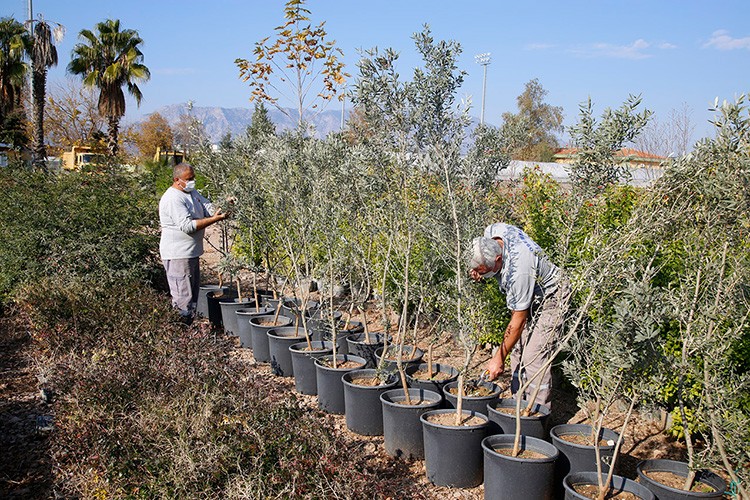 Döşemealtı çiçek kokuyor
