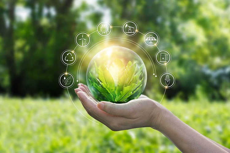 Japonya'da adaylar "sıfır karbon" hedeflerini açıkladı