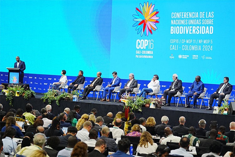 Kolombiya'da Biyolojik Çeşitlilik Konferansı düzenlendi