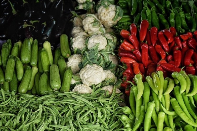 Yüzde 25'i Batı Akdeniz'den