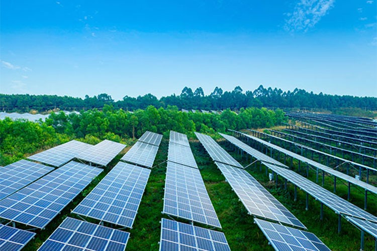 Türkiye'de 2024, güneş enerjisinde rekorların yılı oluyor