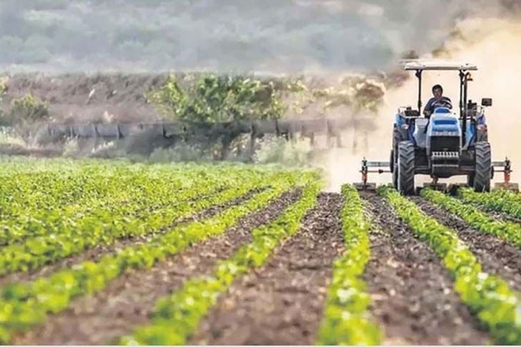 Tekirdağlı çiftçinin ürününe parsel bazlı güvence