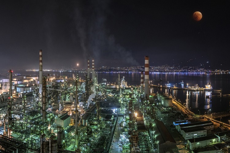 495 milyon lira net kar