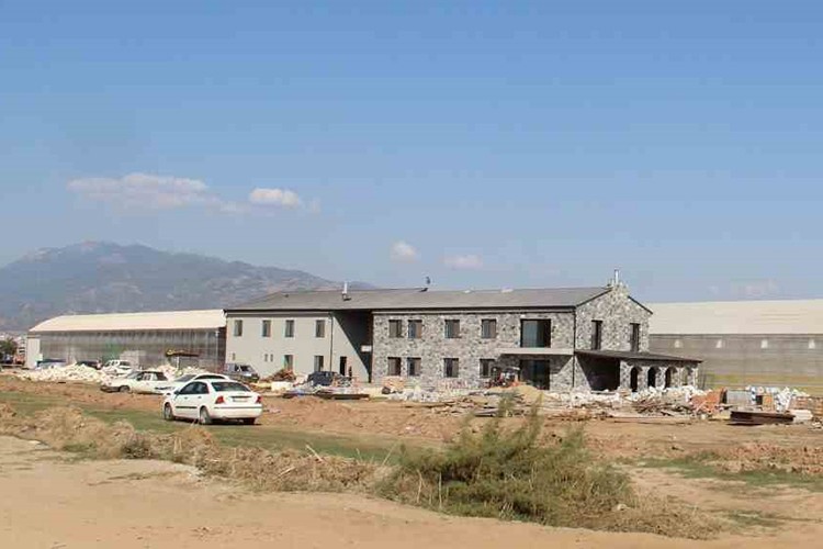 Aydın'da jeotermal enerji tarımda kullanılacak