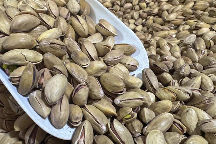 Fıstık sektörü denetlendi