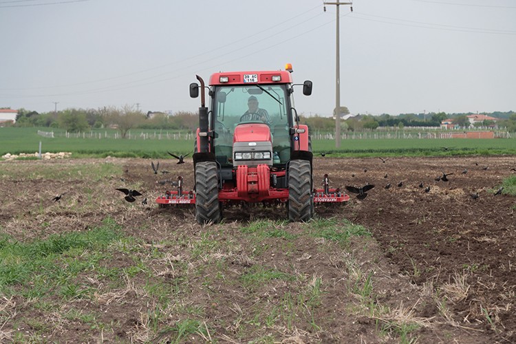 Trakya'da ayçiçeği ekimleri yeniden başladı