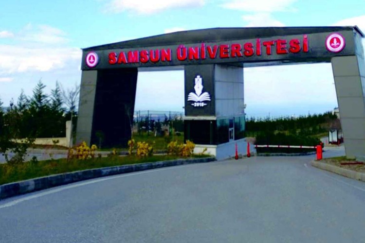 Akademisyen alınacak